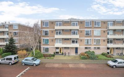 Cederstraat 53
