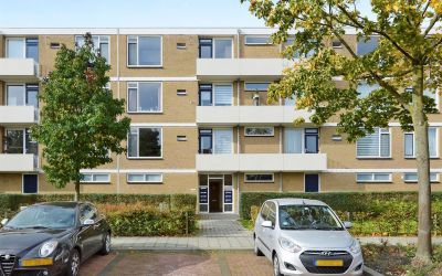 Cederstraat 213