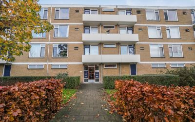 Cederstraat 217
