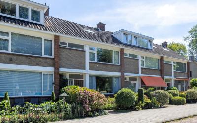 Ambonstraat 8