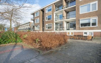 Ambonstraat 100