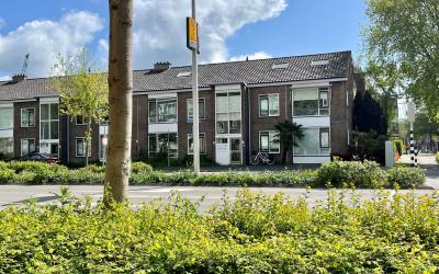 Witte de Wi. 5