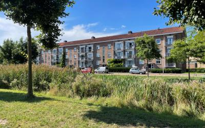 Rembrandtla. 6