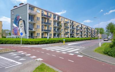 Fazantstraat 24