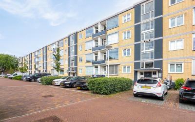 Fazantstraat 38