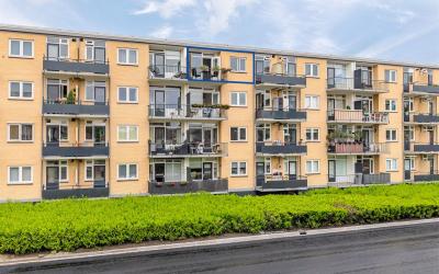 Fazantstraat 40