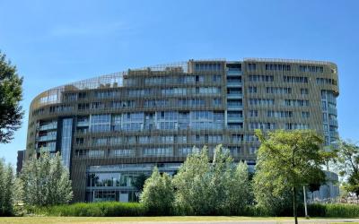 Zuidland 39