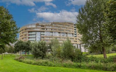 Zuidland 41