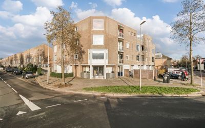 Zuiderkeerk. 353