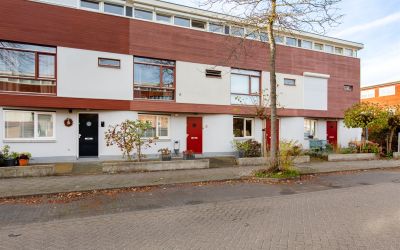 Schouw 6