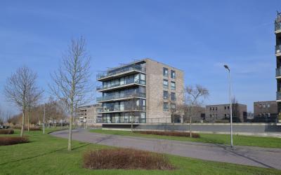 Kooikerstra. 167