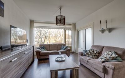 Dronensingel 107