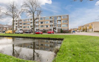 Dronensingel 133