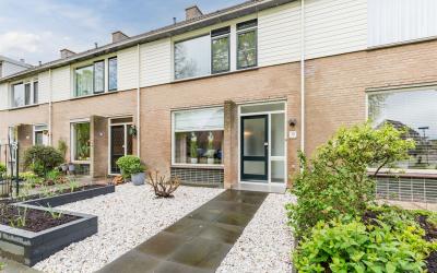 Goudplevier 13