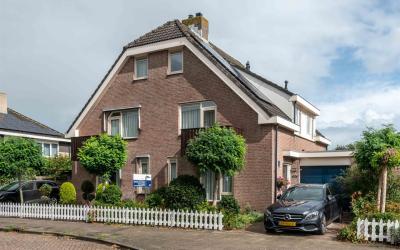 Goudplevier 6