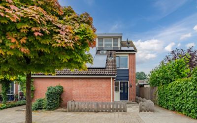 Pijlkruid 18