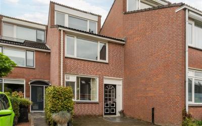 Pijlkruid 5