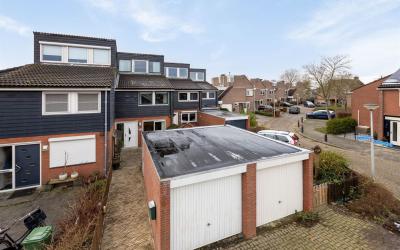 Zwanebloem 27