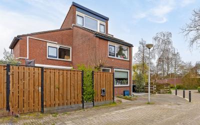 Zwanebloem 2