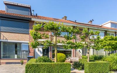 Koninginnew. 228