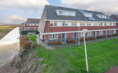 Sleutelbloem 117