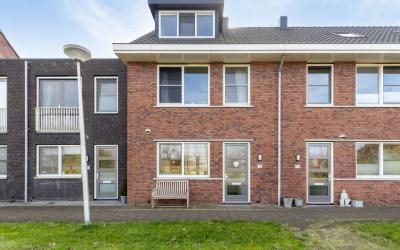 Sleutelbloem 75