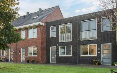 Sleutelbloem 79