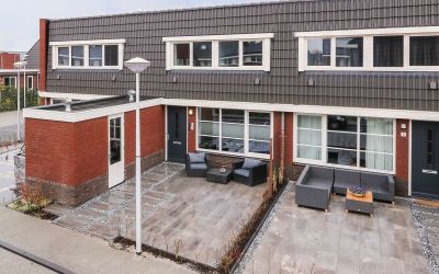 Goudsbloem 5