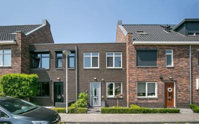 Goudsbloem 8