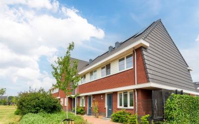 Zilverschoon 10