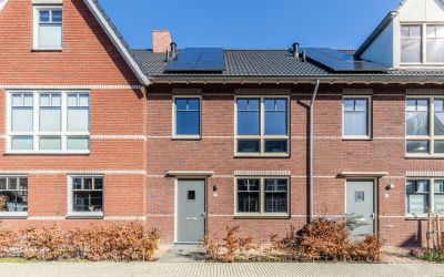 Ridderspoor 18