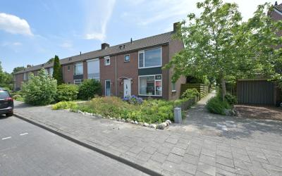 Groene Jonk. 15