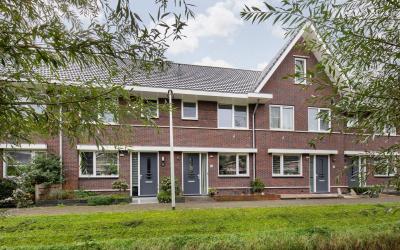 Zilverreiger 10
