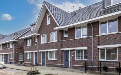 Aalscholver 16