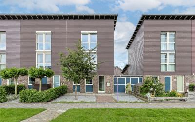 Aalscholver. 23