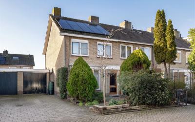 Zonnedauwla. 85