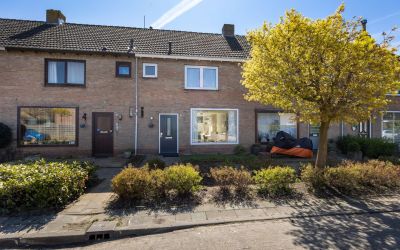 Zonnedauwla. 12