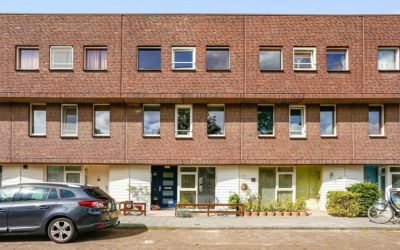 Pijlstaarts. 25