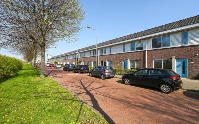 Oude Polder. 105