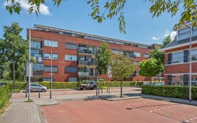 Bergermeers. 125