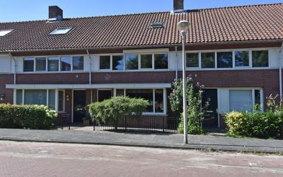 Goudplevier. 19
