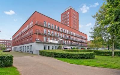 Vuistbijl 36