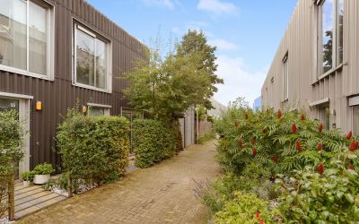Stiemensvaart 54