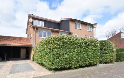 Pluimzegge 29