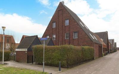 Gentiaan 33