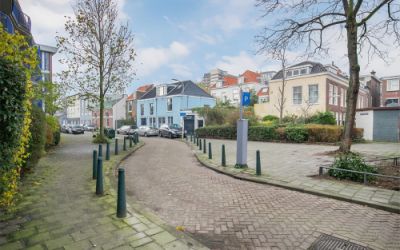 Rode Leeuws. 29