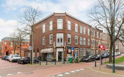 's-Gravenzandelaan 161