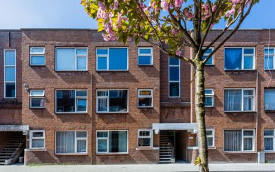 Zwetstraat 44