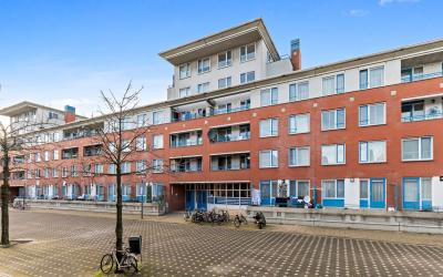 Thijssestra. 251