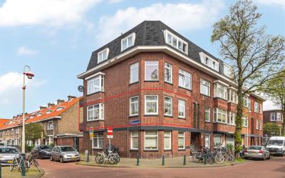 Linnaeusstr. 113